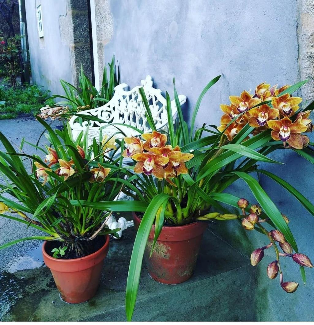 A Casa Da Parrula Apartment Santiago de Compostela Exterior photo